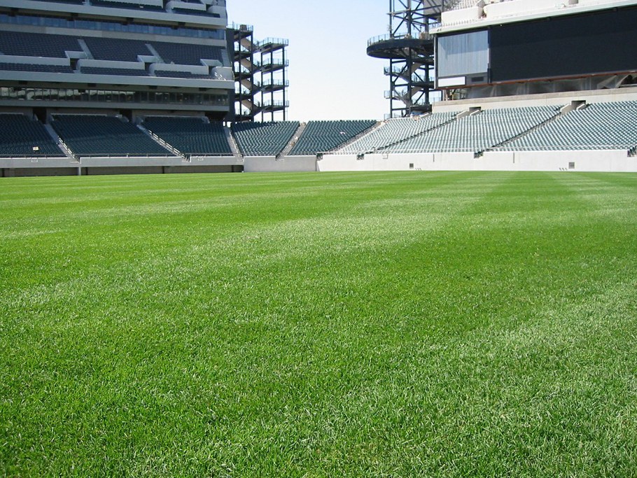 Football Turf